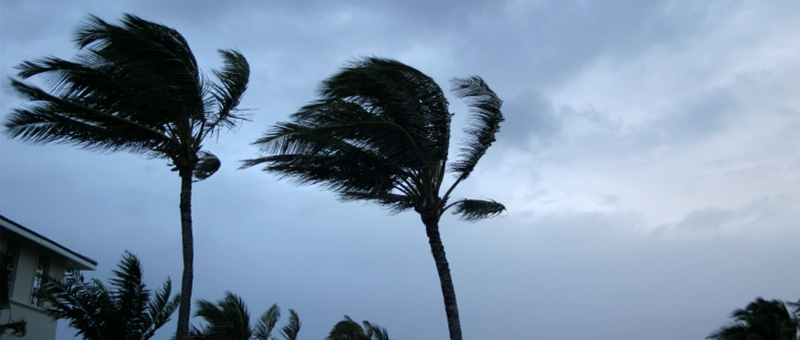 Helping you with Natural Disaster and Hurricane Property Damage Claims in Sarasota